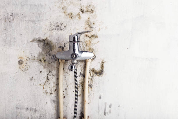Best Residential Mold Remediation in Brookfield, WI
